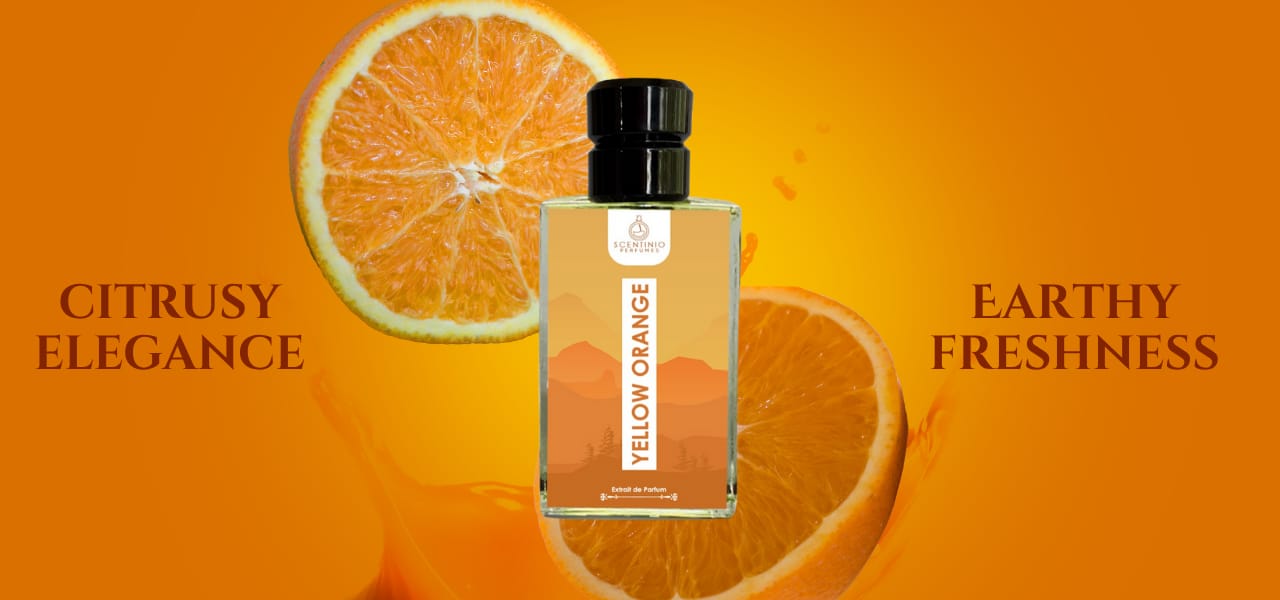 WhatsApp Image 2025-08-30 at 4.17.48 PM