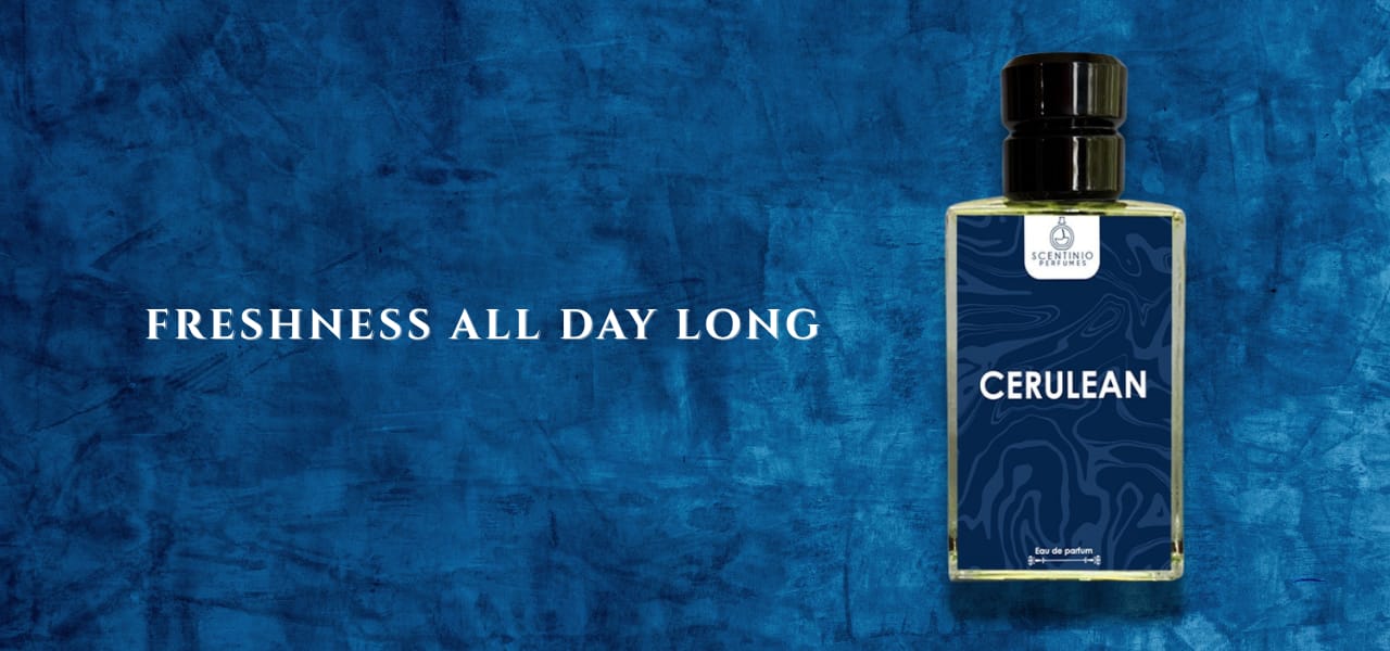 WhatsApp Image 2025-08-30 at 4.17.49 PM (2)