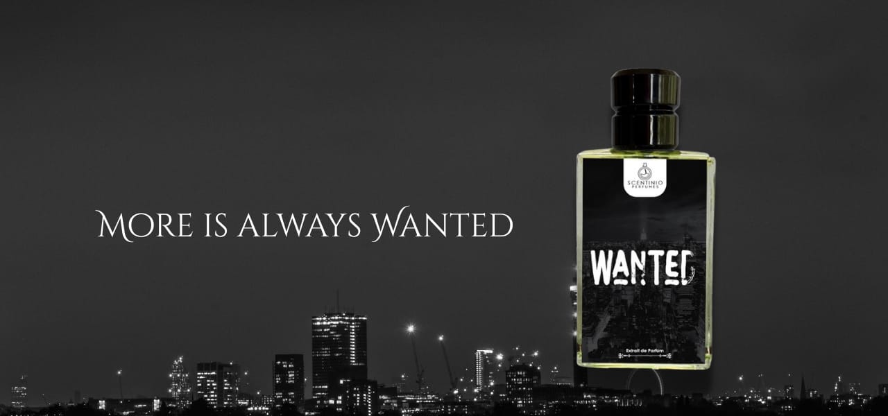 WhatsApp Image 2025-08-30 at 4.17.49 PM